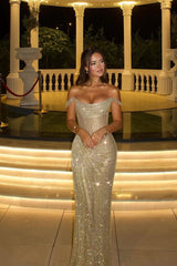Dazzling Off-The-Shoulder Mermaid Prom Dresses Column Long With Pleats